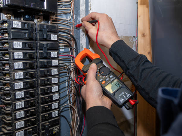 Best Electrical Troubleshooting Services  in Schler Park, IL